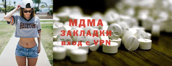 индика Елизово