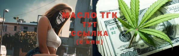 индика Елизово
