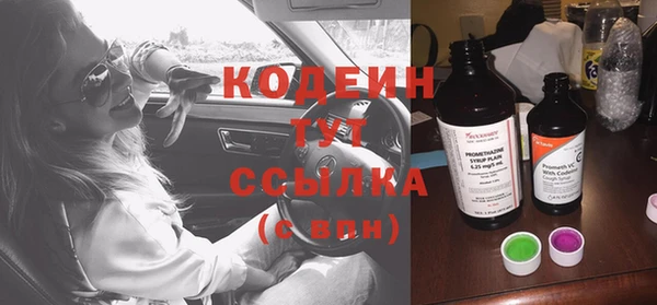 индика Елизово