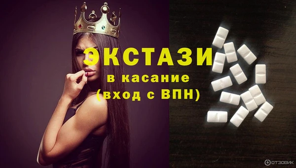 индика Елизово