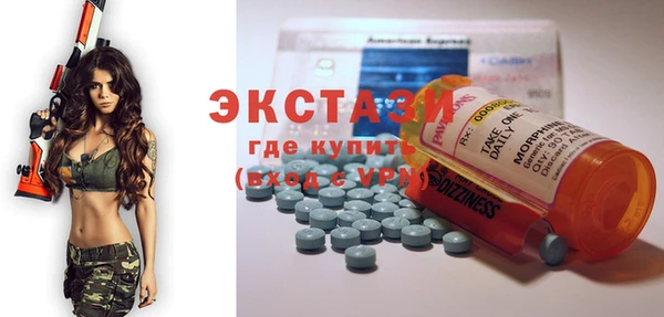 индика Елизово