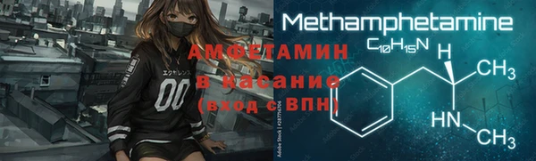 индика Елизово