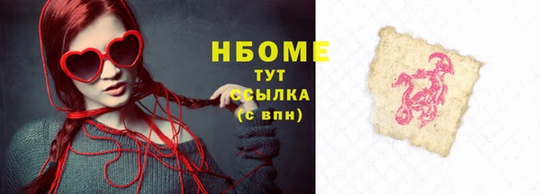 индика Елизово