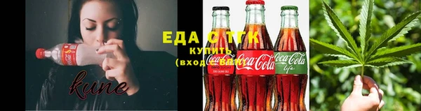индика Елизово