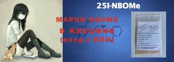 прущие грибы Пестово