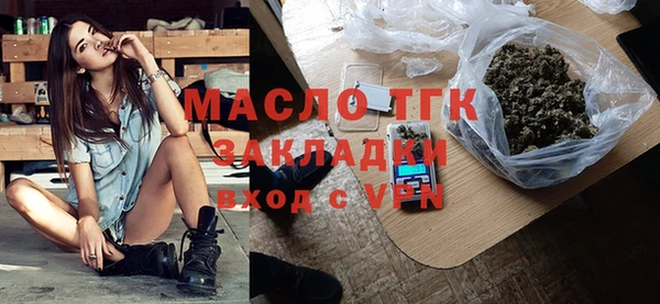 индика Елизово