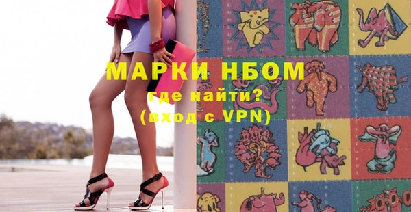 индика Елизово
