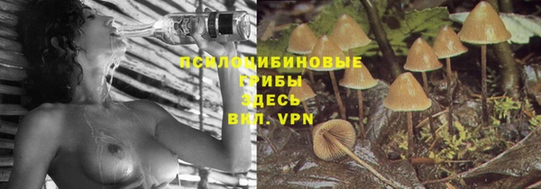 прущая мука Елабуга