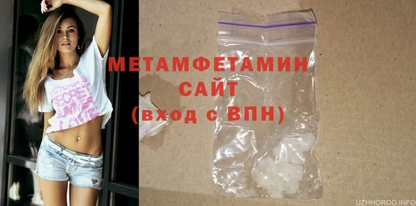 индика Елизово