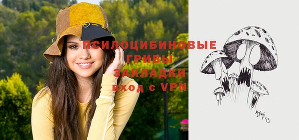прущая мука Елабуга