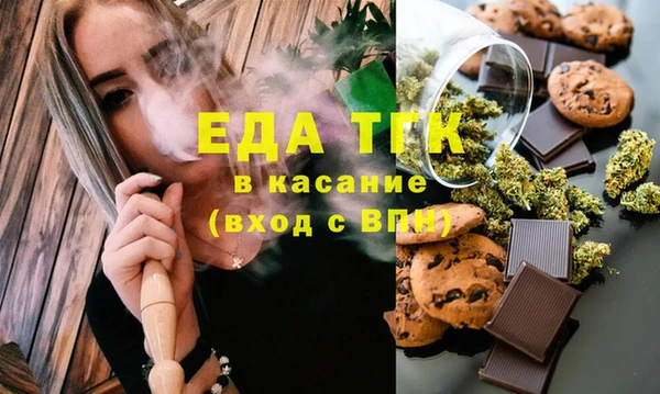 индика Елизово